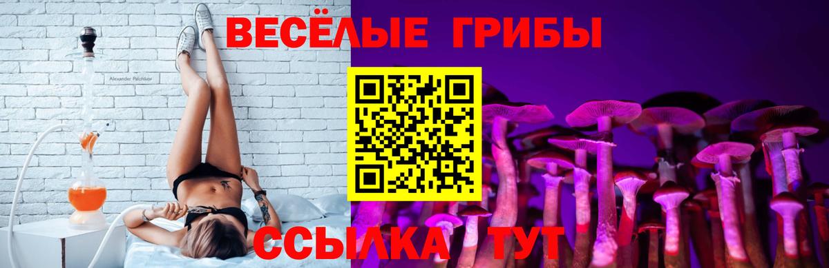 Лыткарино  Псилоцибиновые грибы Cubensis  Вход с VPN 